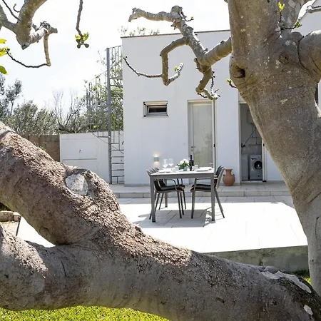Don Cirillo - Salento Reservation
