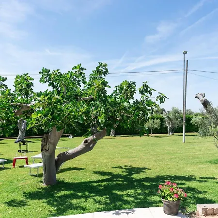 Don Cirillo - Salento Reservation